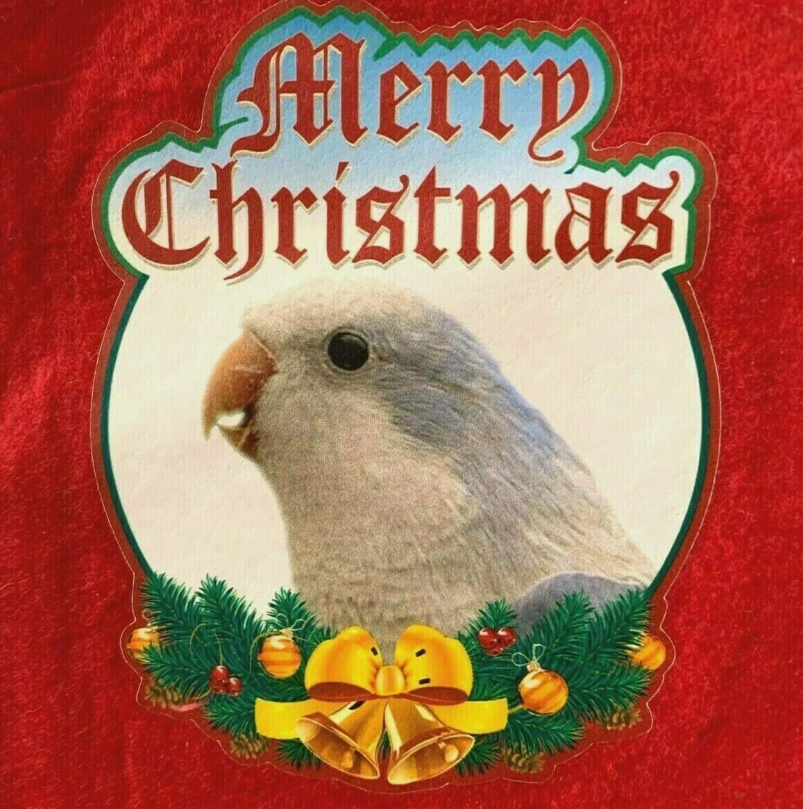 SALE!  Blue Quaker (Monk Parakeet) Parrot Exotic Bird Christmas Stocking