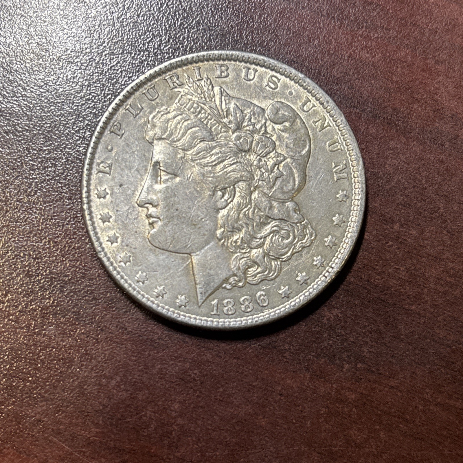 1886 Morgan Silver Dollar