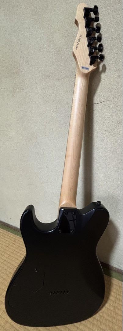 GrassRoots Electric Guitar Safe Packing!