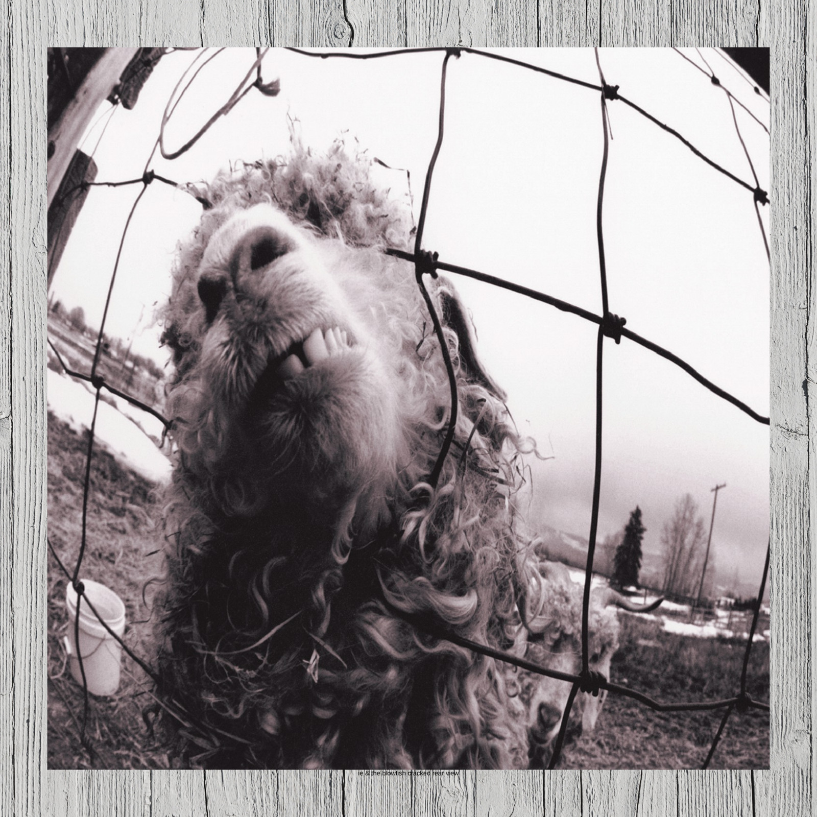 Pearl Jam Vs Album Cover Metal Sign Poster