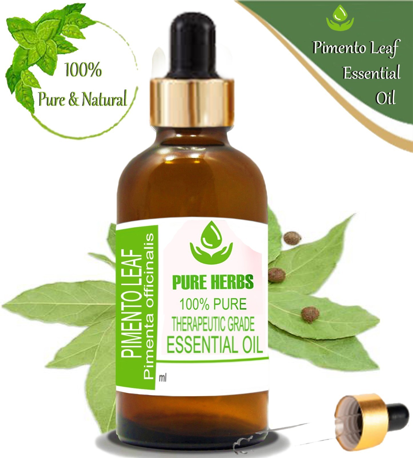 Pure Herbs Piemento Leaf 100% pure Pimenta Officinalis Essential Oil oR467