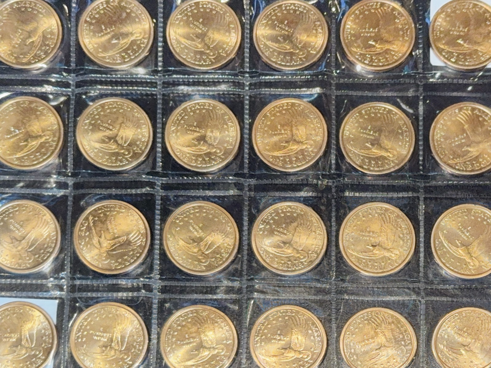 2000 Sacagawea dollar coin set (2580)