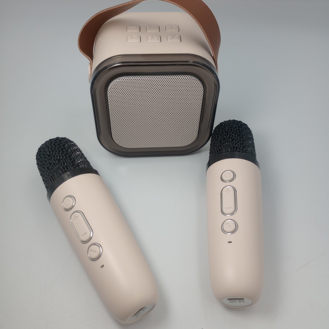 Mini Karaoke Machine Portable Bluetooth Speaker with 2 Wireless Microphones READ