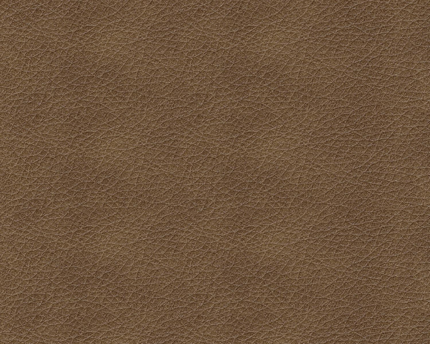 Bowery Hill Leather Contemporary Corner-blocked frame Caramel Sofa