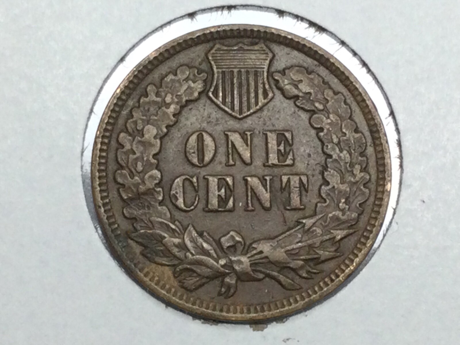 1909 Indian Cent in almost uncirculated