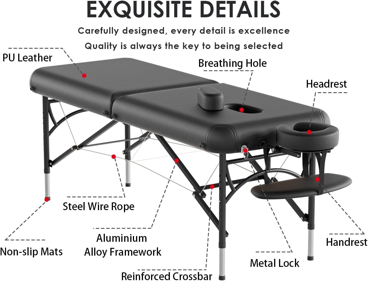 CLORIS 84" Professional Massage Table Portable 2 Folding Lightweight, Black