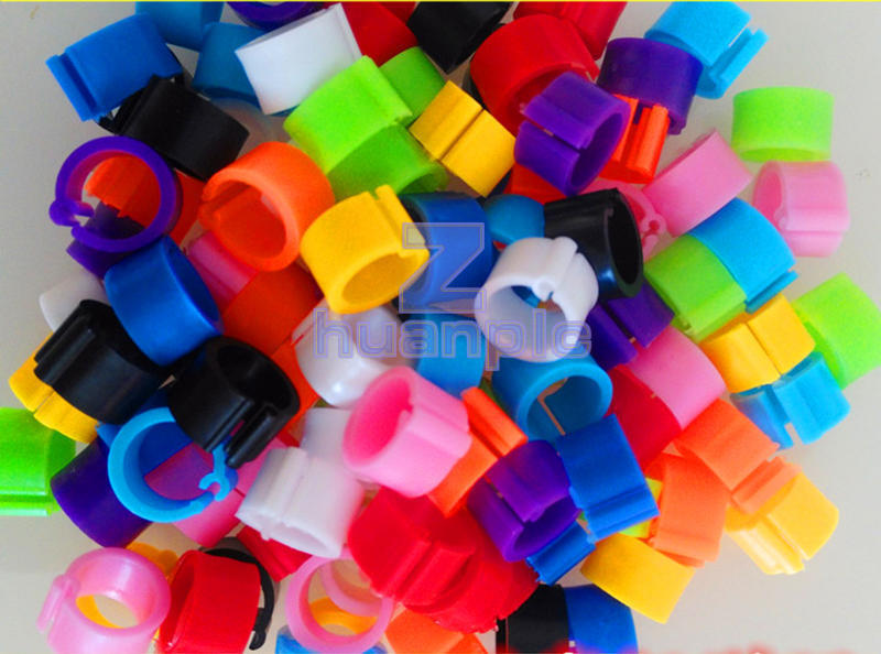 10 Colors 100 Bird Leg Bands 8mm Pigeon Chicken Parrot Bantam Poultry Rings NEW