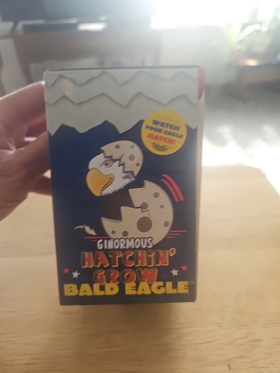 Toysmith Ginormous Hatchin' Grow Bald Eagle Egg Just Add Water