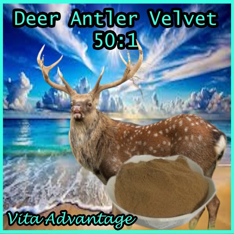 Deer Antler Velvet 50:1 Highest Quality 50X THE POTENCY OF REGULAR Powder 2LB