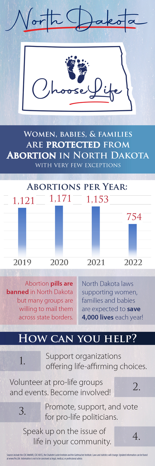 North Dakota Banner with Stand Pro-Life Vinyl Sign
