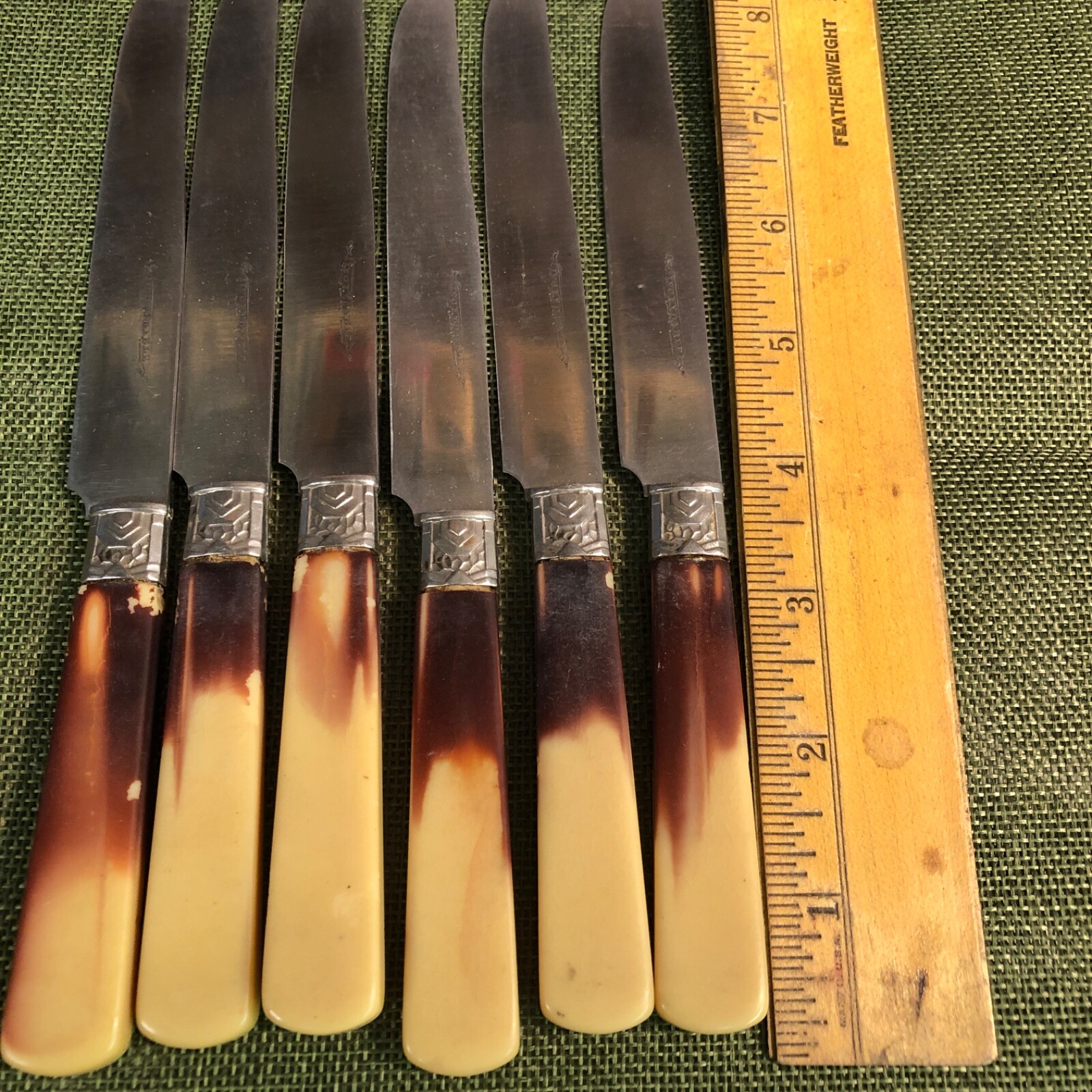 6-Inoxydable  knives with celluloid handle(587)