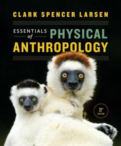 Essentials of Physical Anthropology (Third Edition) - Paperback - VERY GOOD