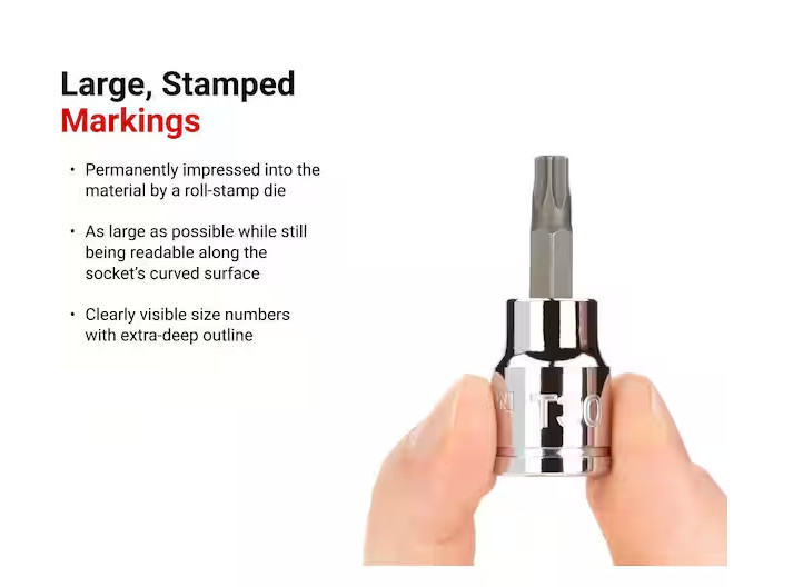 3/8 in. Drive x T60 Torx Bit Socket