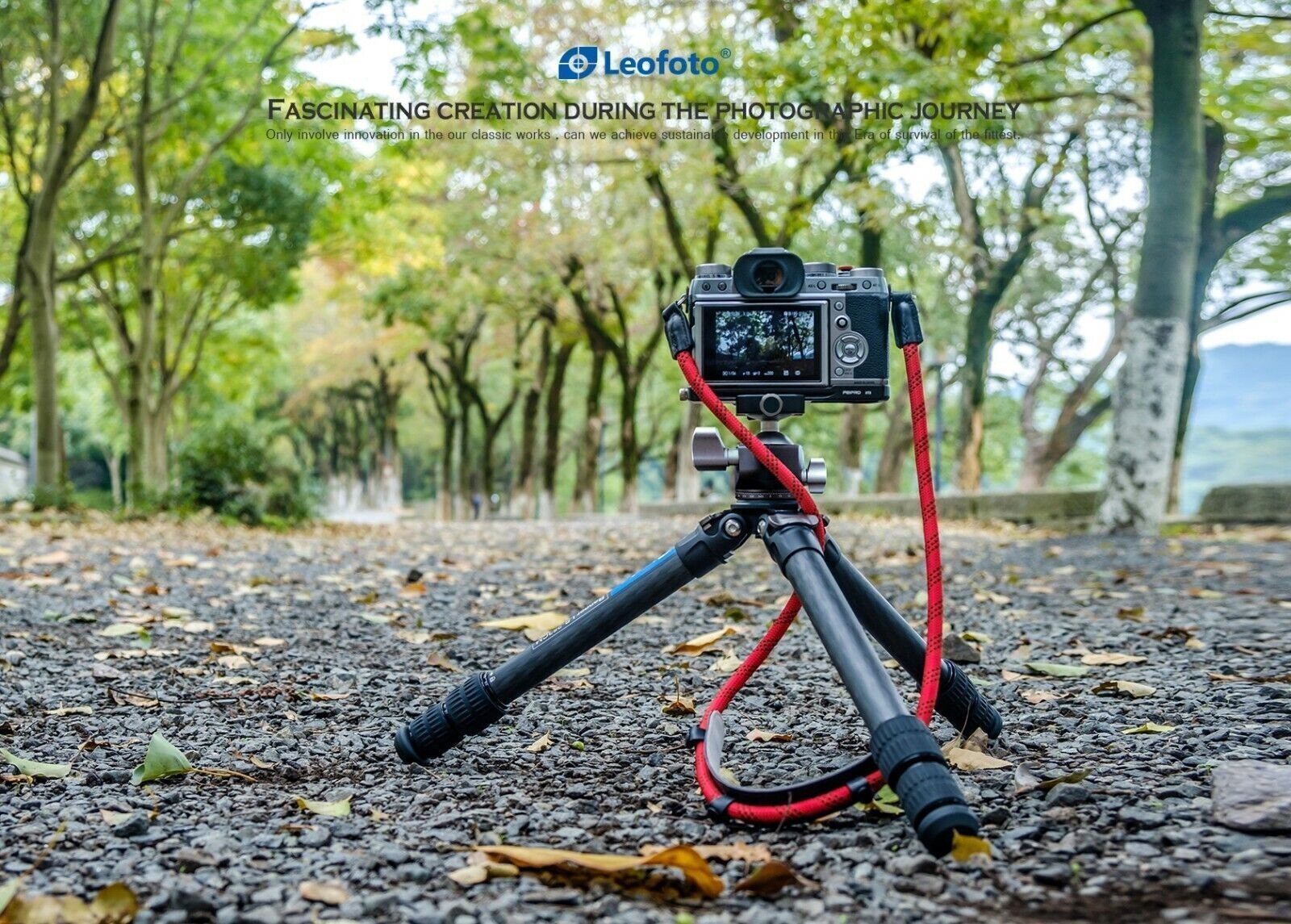 Leofoto Tripod LS-253CM Professional Carbon Fiber with LH-30 Ball Head