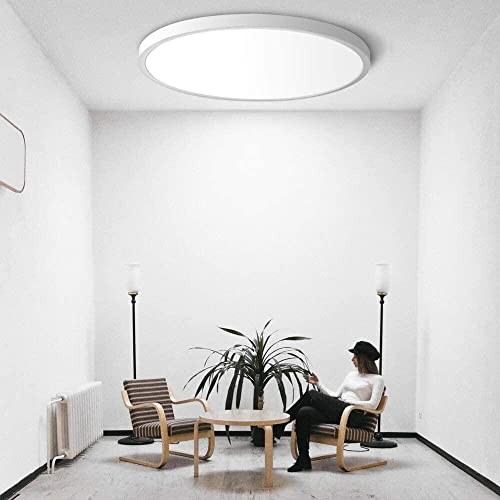 12 Inch LED Flush Mount Ceiling Light Fixture, 2 Pack 24W 5000K 2pack White