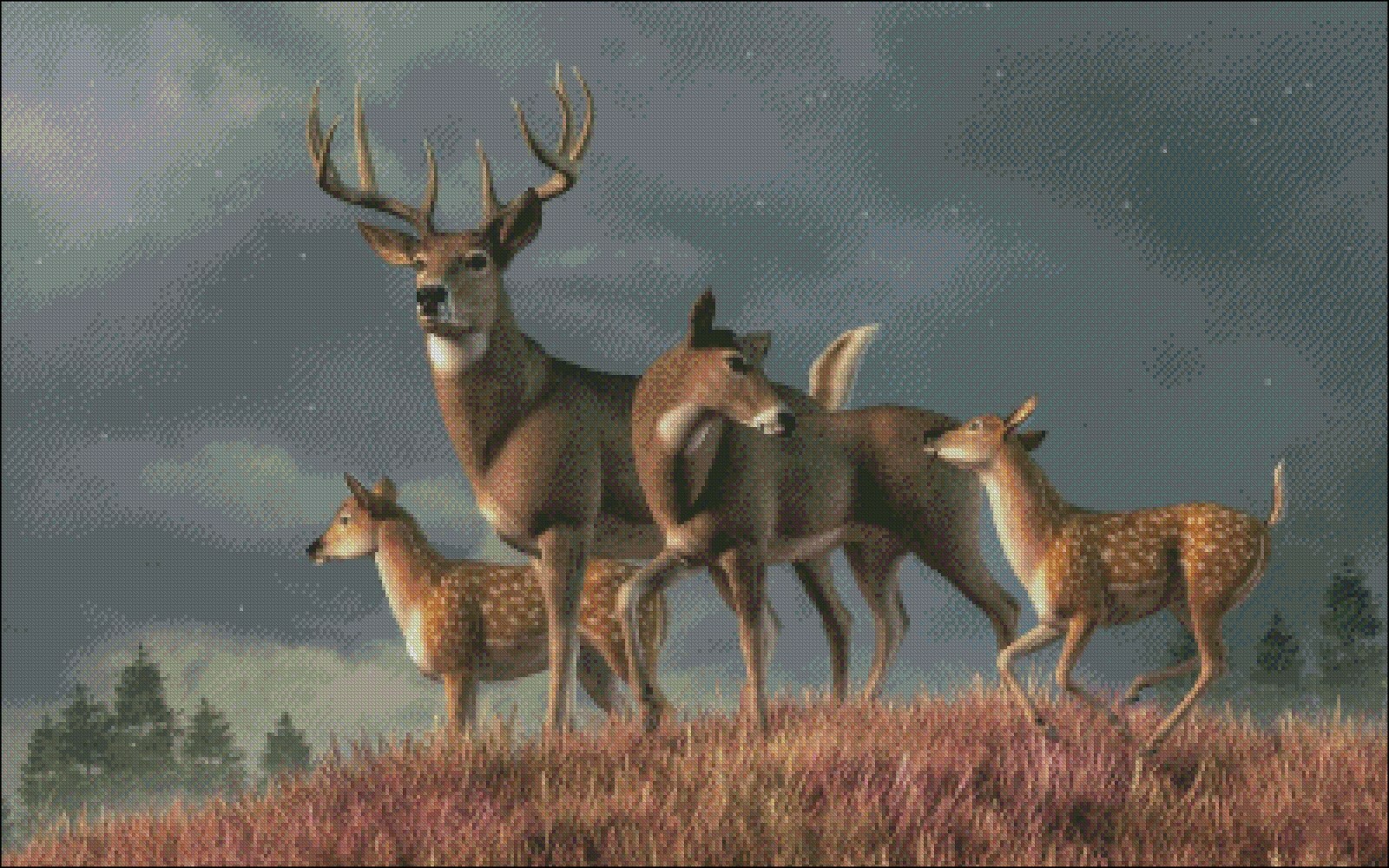 White Tailed Deer Family - Chart Counted Cross Stitch Patterns Needlework DMC