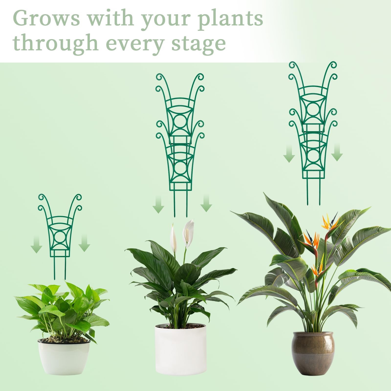 4 Pack Stackable Plant Trellis for Climbing Plants, 4 Pack, Green