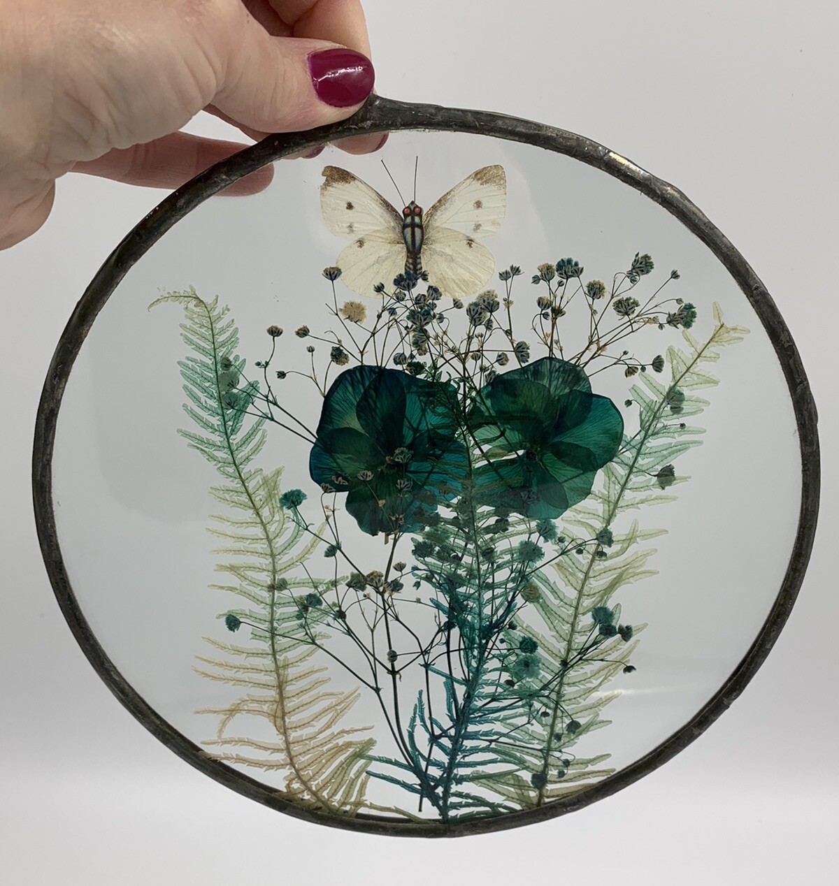 Vintage Pressed Dried Flowers Sun Catcher With Butterfly