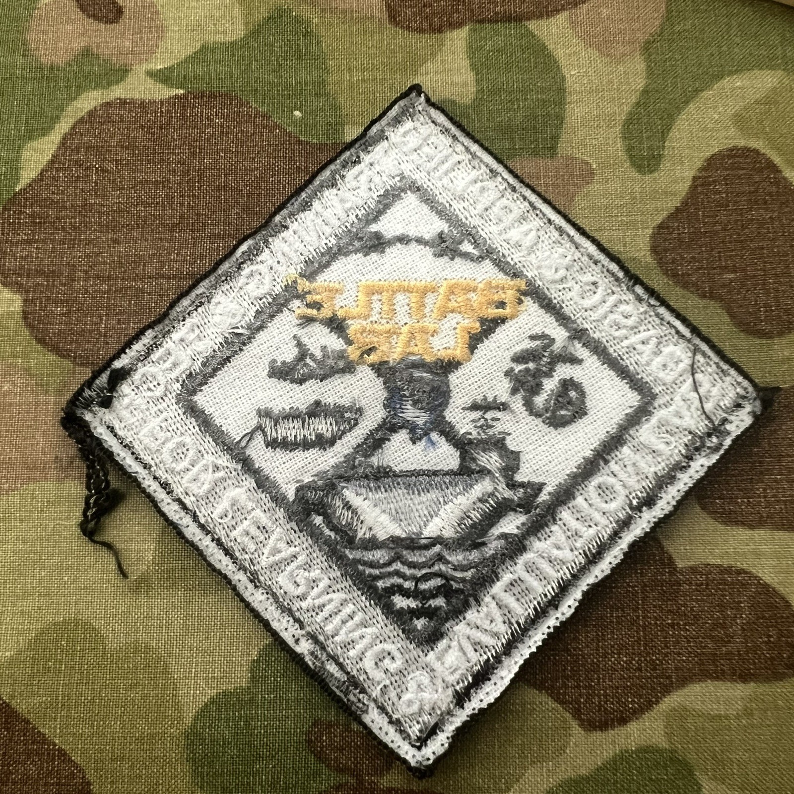 USMC BATTLE LAB Patch US Marine Corps Training Tec Eval Unit Marines