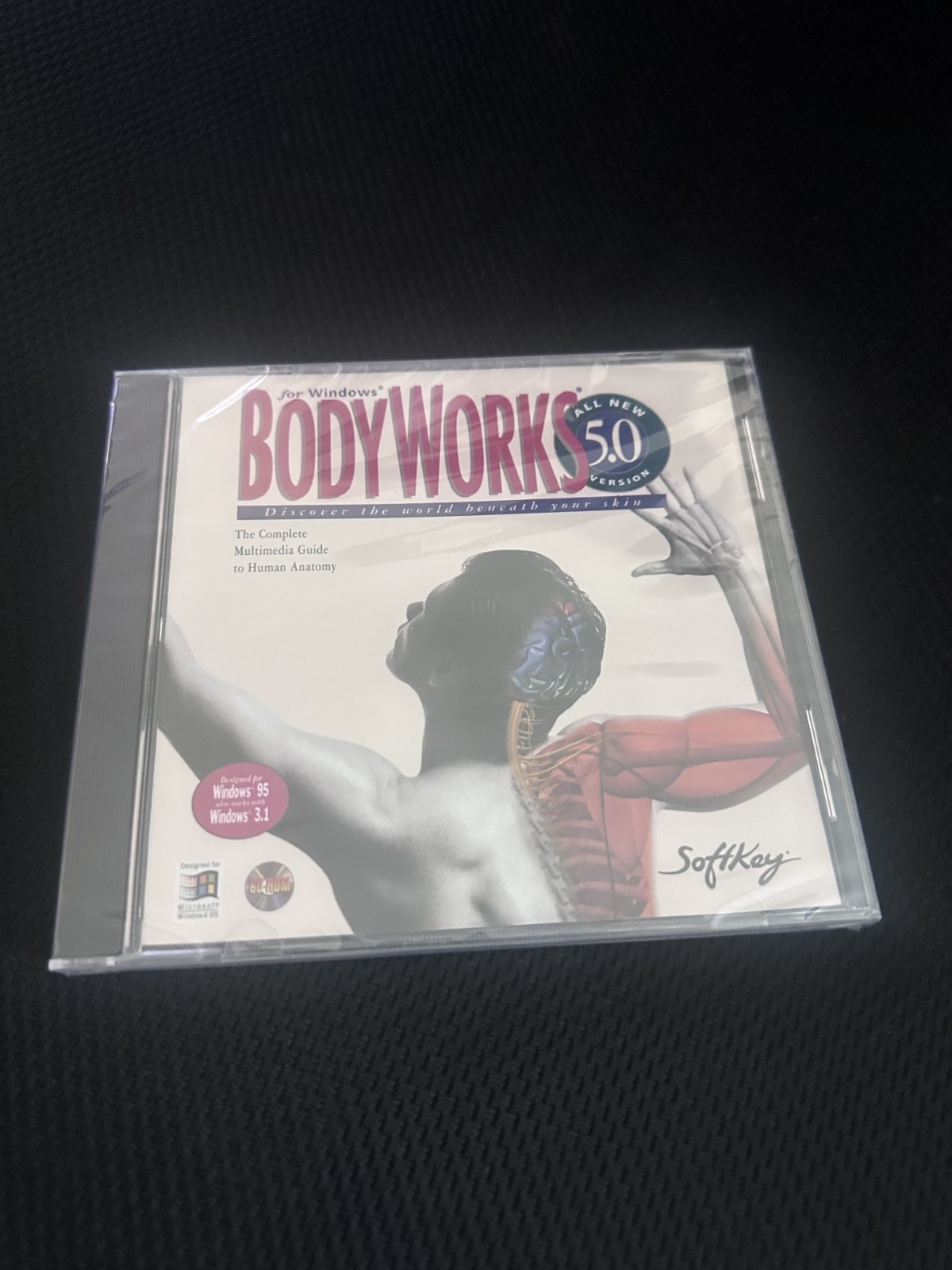 SoftKey BODYWORKS 5.0 Software CD-ROM for Windows 95 3.1 Anatomy Guide
