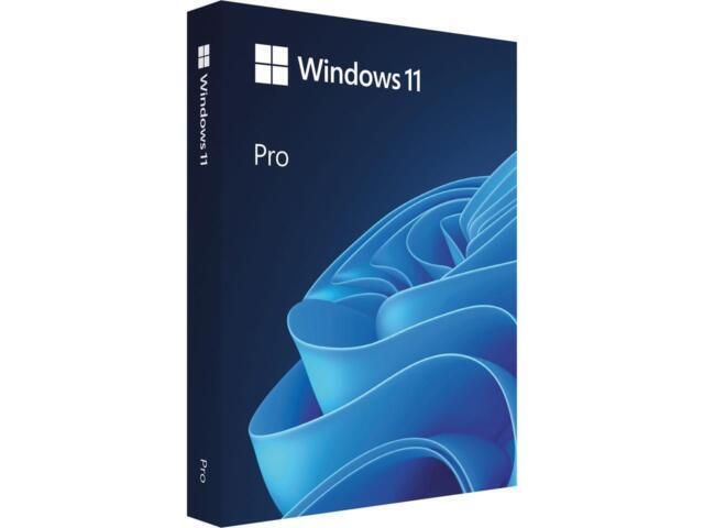 Microsoft Windows 11 Pro 64-Bit USB Flash Drive (HAV-00162)