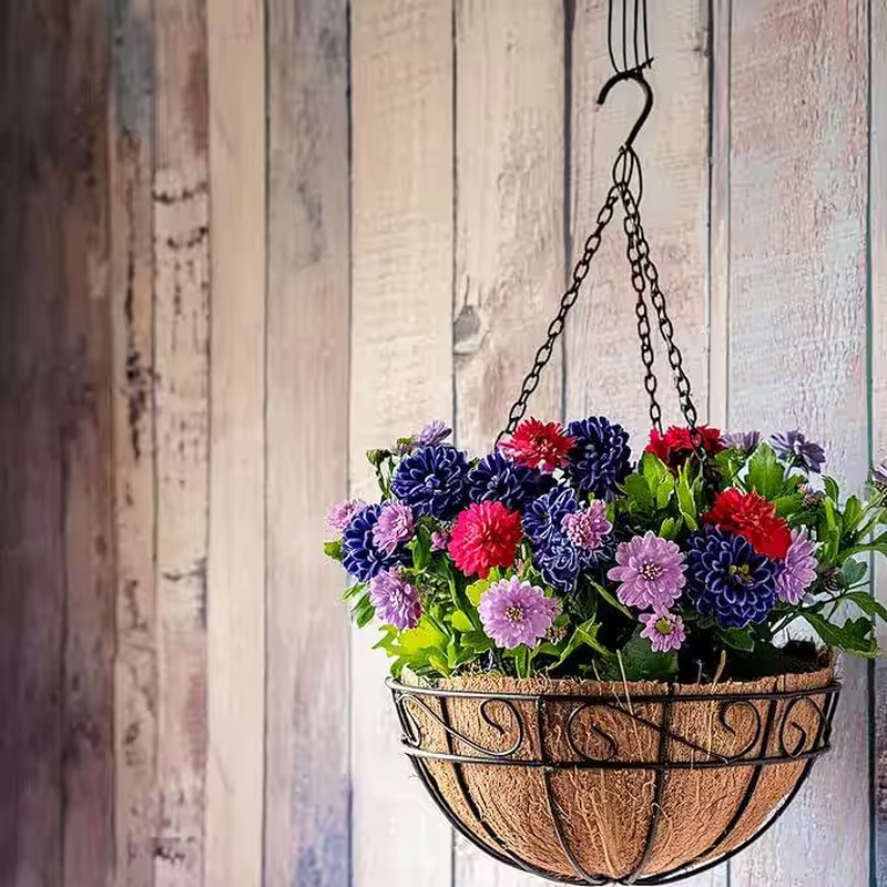 Large 16 In. Dia Black Metal Hanging Basket with Coco Liner (4-Pack)