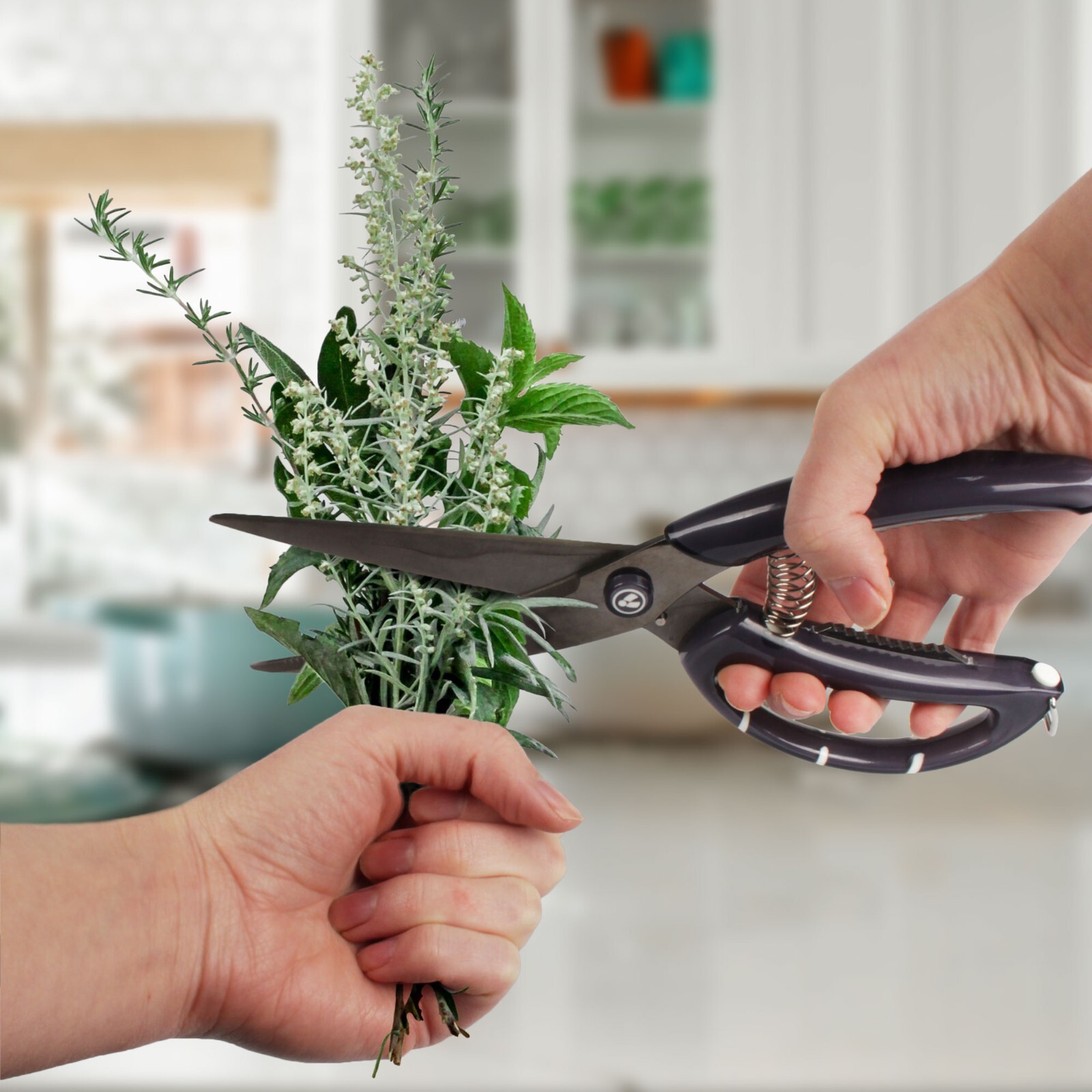 Master Butterfly Kitchen Shears