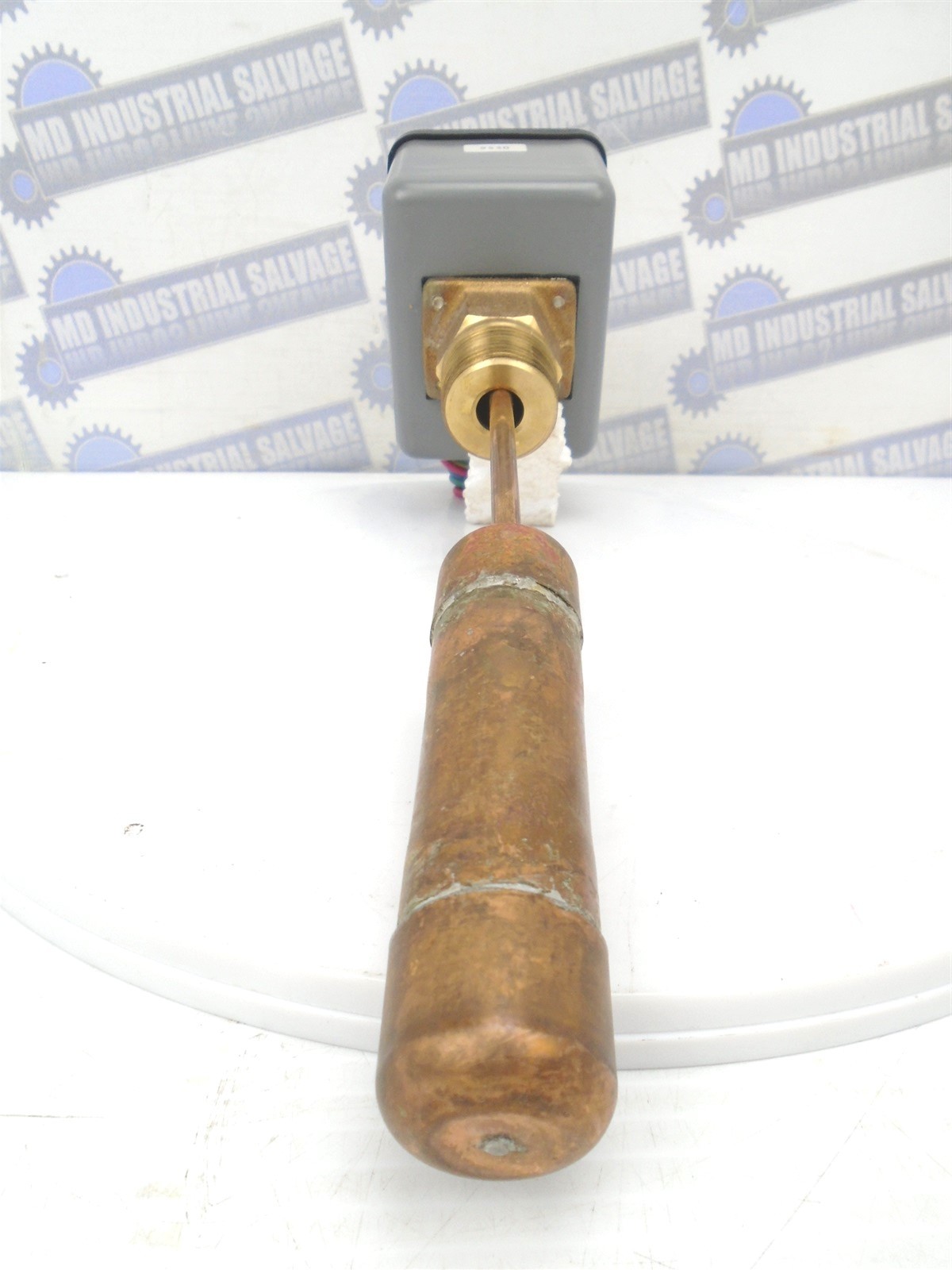 BAC - BALTIMORE AIRCOIL - 310620 - F63FF - FLOAT SWITCH - SNG P, DBL Throw (NEW)