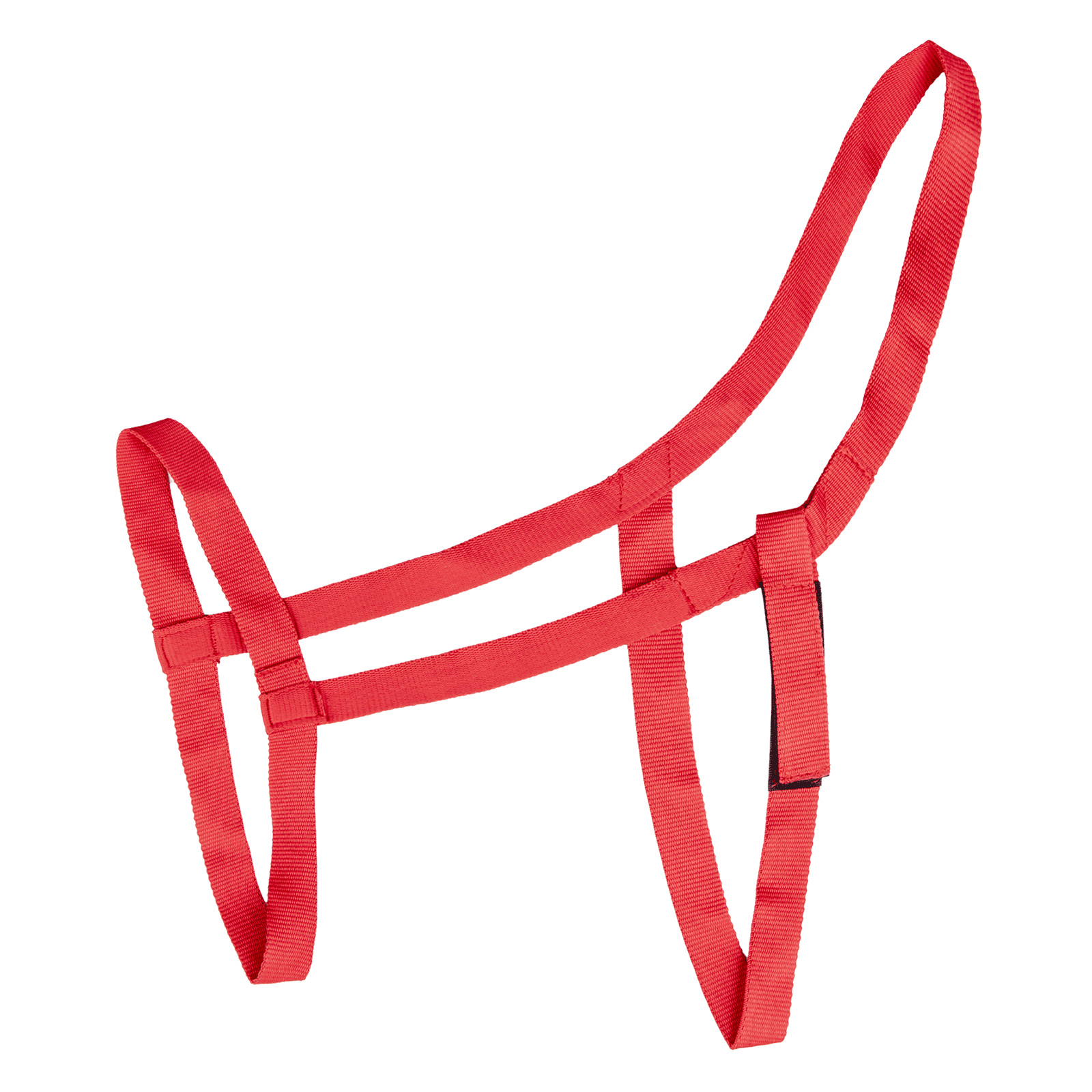 Pasture Halter