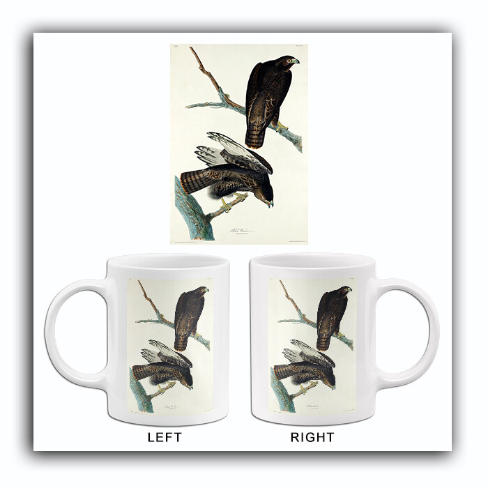 Black Warrior - 1827 - Illustration Mug