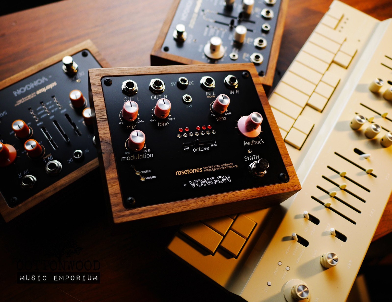Vongon Rosetones
