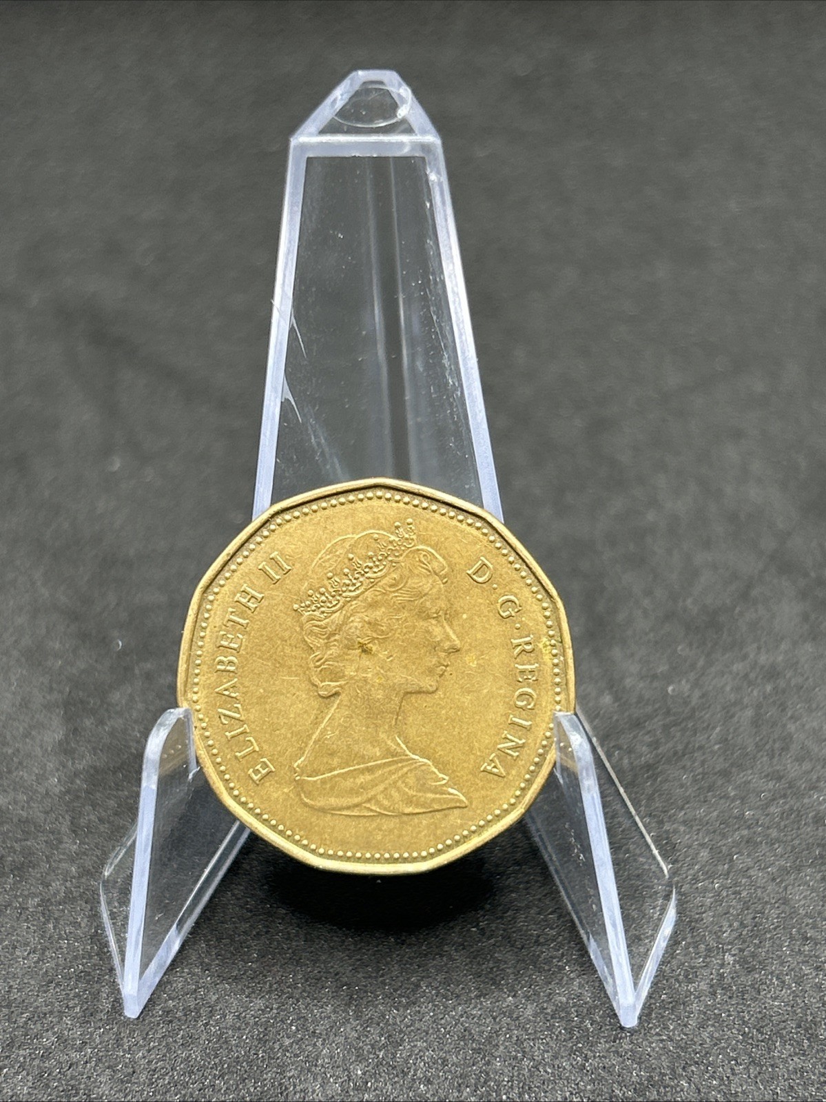 Canadian One Dollar Loonie Coin $1 Canada Elizabeth II D.G. Regina 1989 Circ