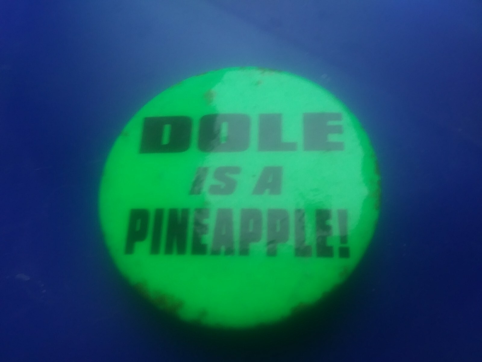 Bob Elizabeth dole Pin Back Campaign Button Presidential is a pineapple  damaged