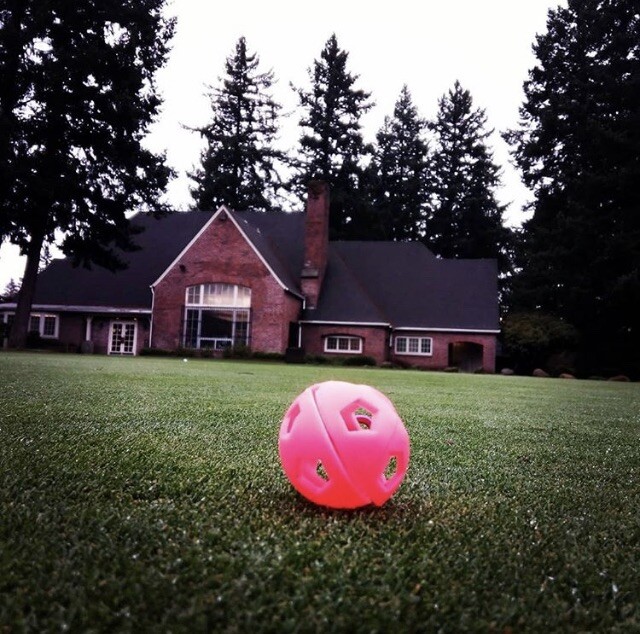 Silicone Golf Ball Holder