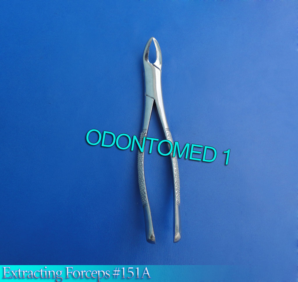Dental Tooth Extracting Forceps #151A Instuments