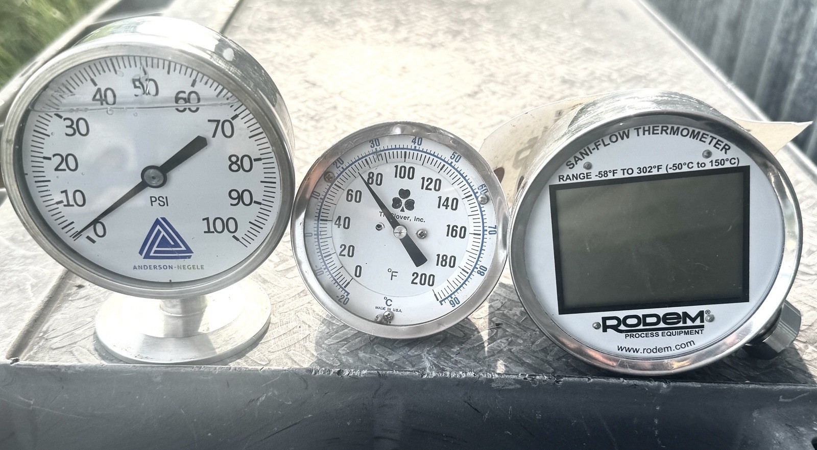 DT-1/2NPT-BK-DF Rodem Steel Sanitary Digital Thermometer Anderson Negele EL07
