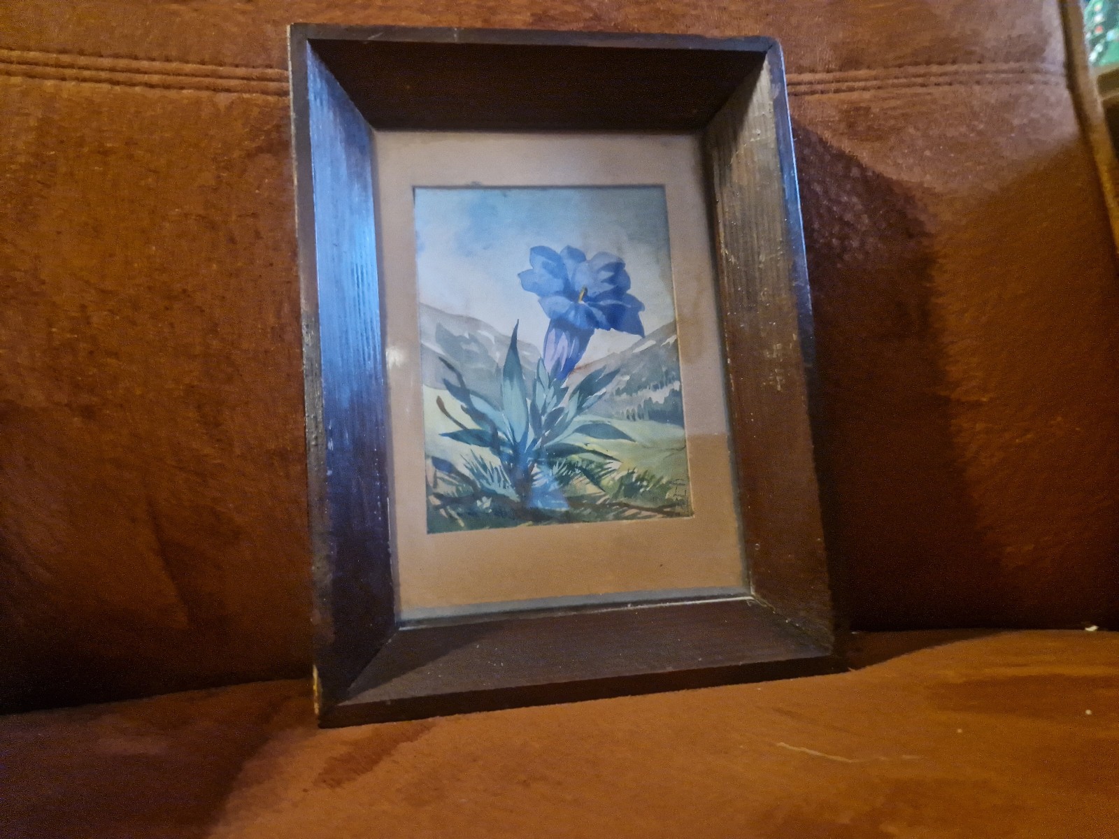 Original Drawing Painting Gentian Framed (Bo)
