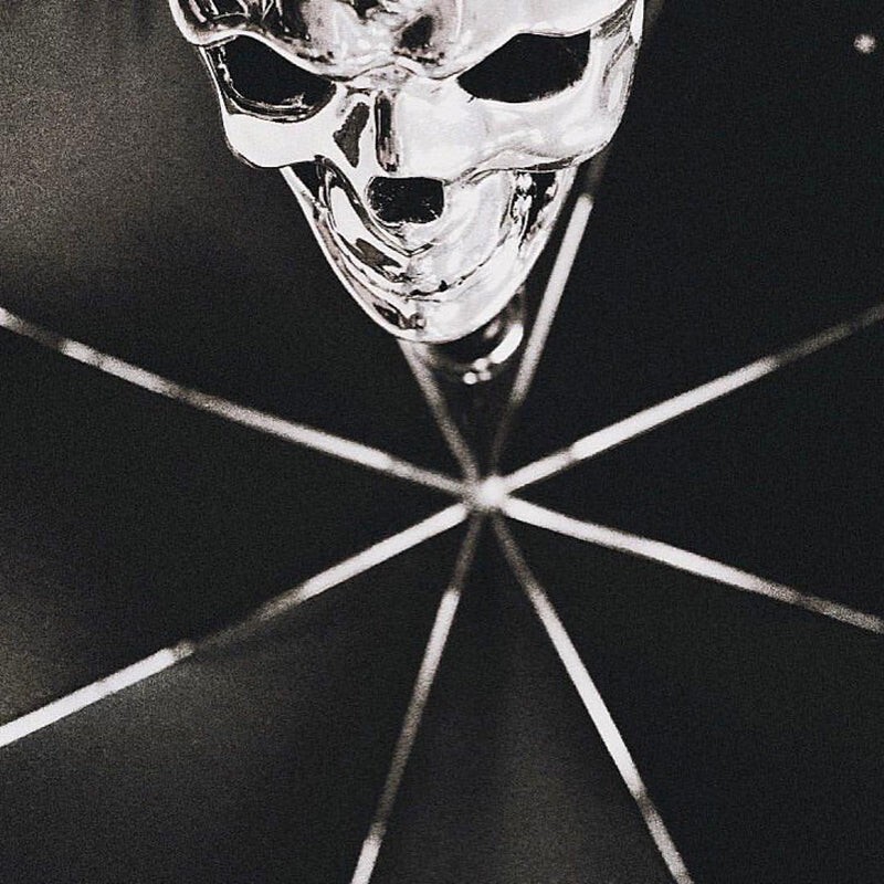 Pasotti Silver Skull Umbrella Gift Box included New