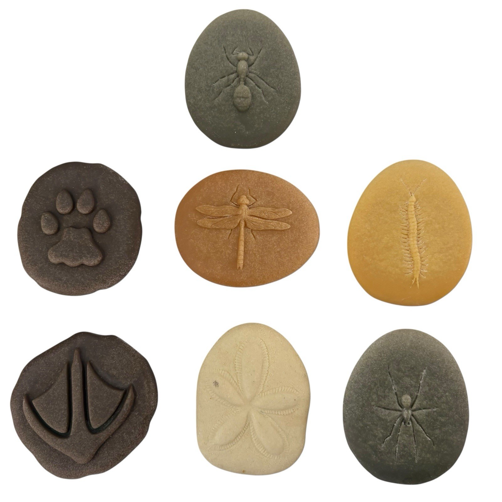 LET'S INVESTIGATE FOSSILS FOOTPRINTS 7 Stones / 9 Prints Crafts classroom home