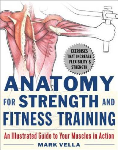 Anatomy for Strength and Fitness Training: An Illustrated Guide to Your M - GOOD
