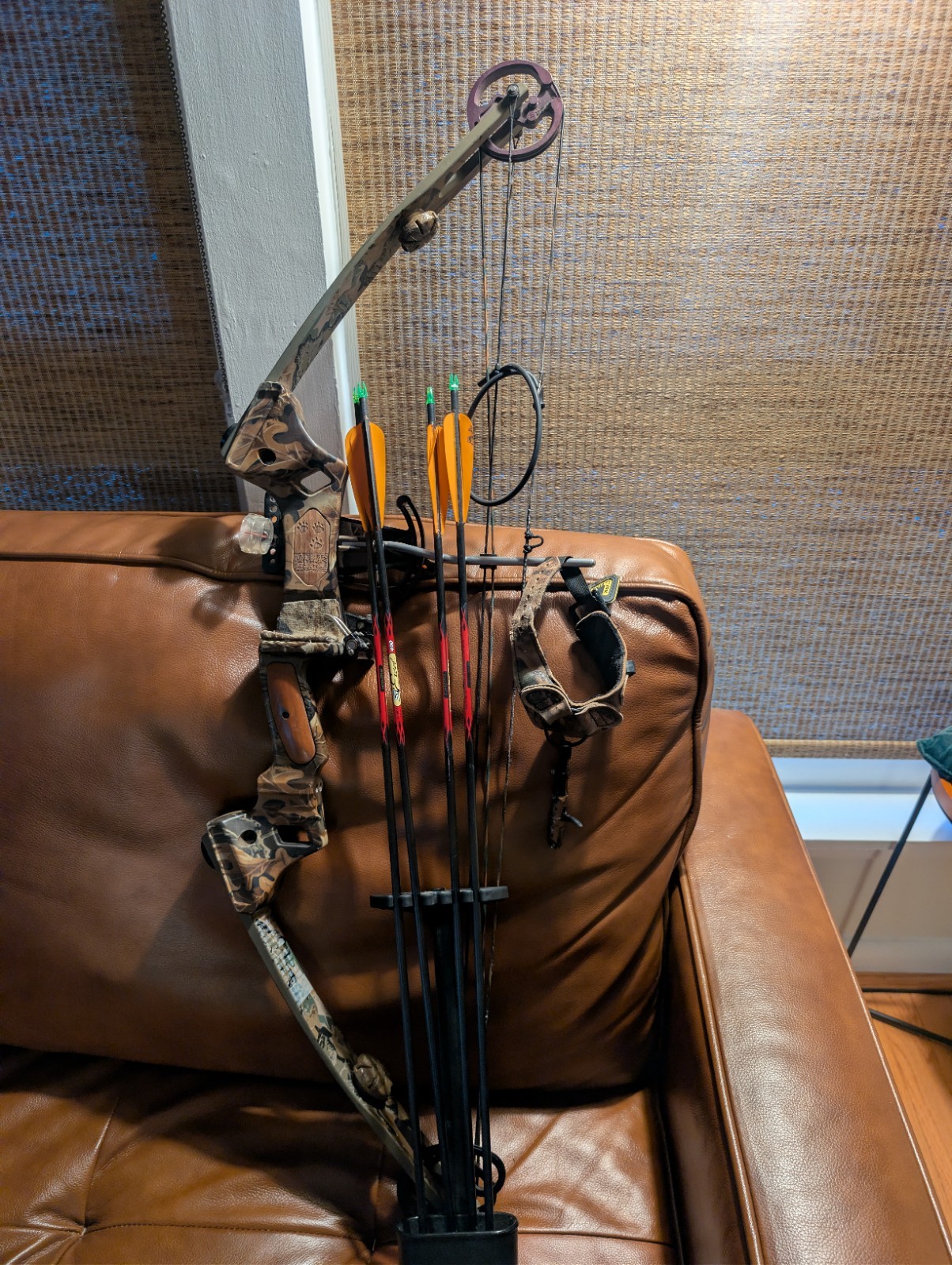 Martin Pro Series Jaguar Compound Bow Package Right Hand 60 LBS