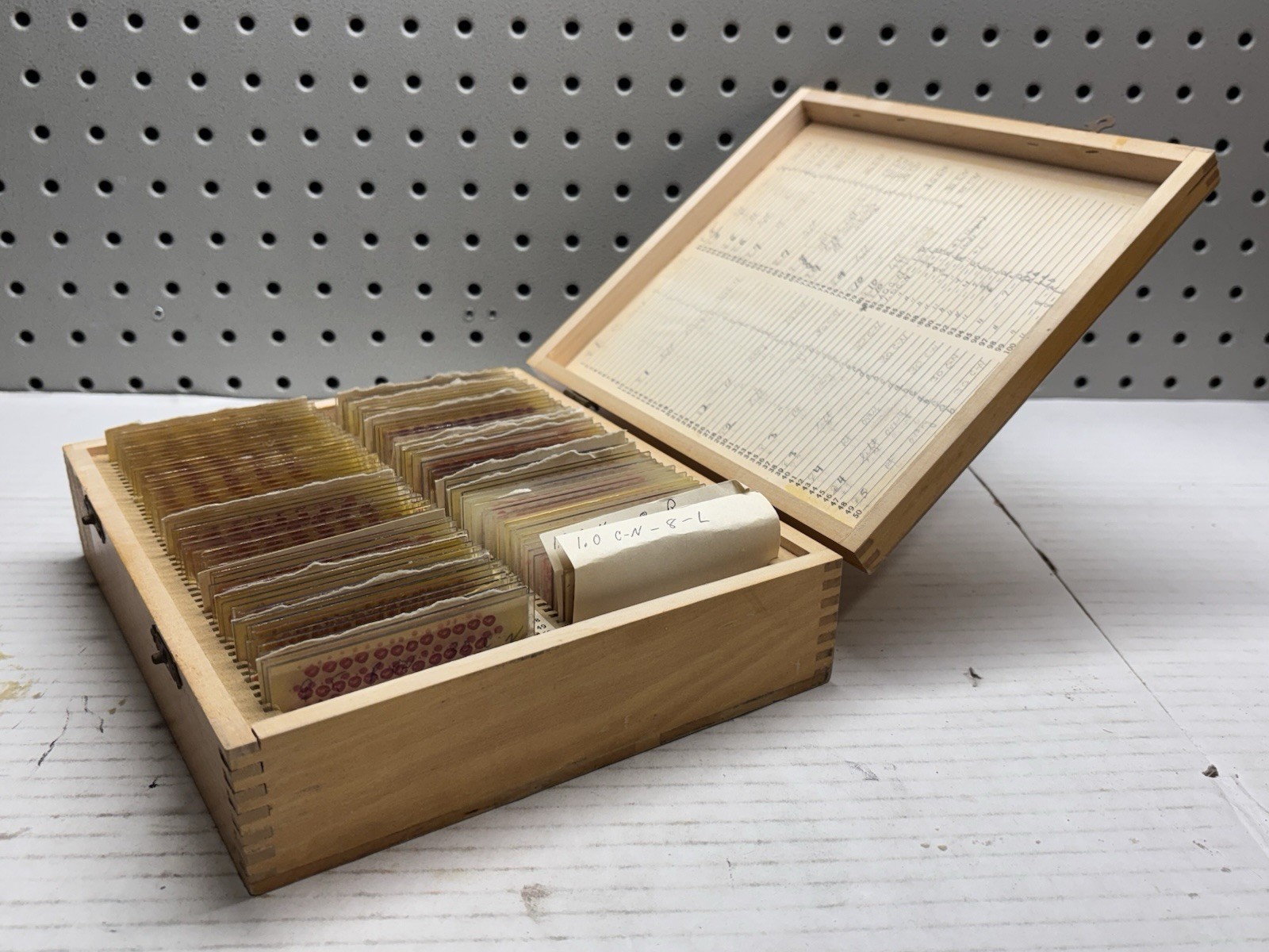 Vntg Prepared Microscope Slides & Clay Adams-Case & Ovary / Ovaries Slides 90+