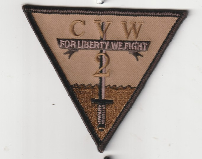 US NAVY USN Carrier Air Wing 2 CARAIRWING TWO CVW-2 patch