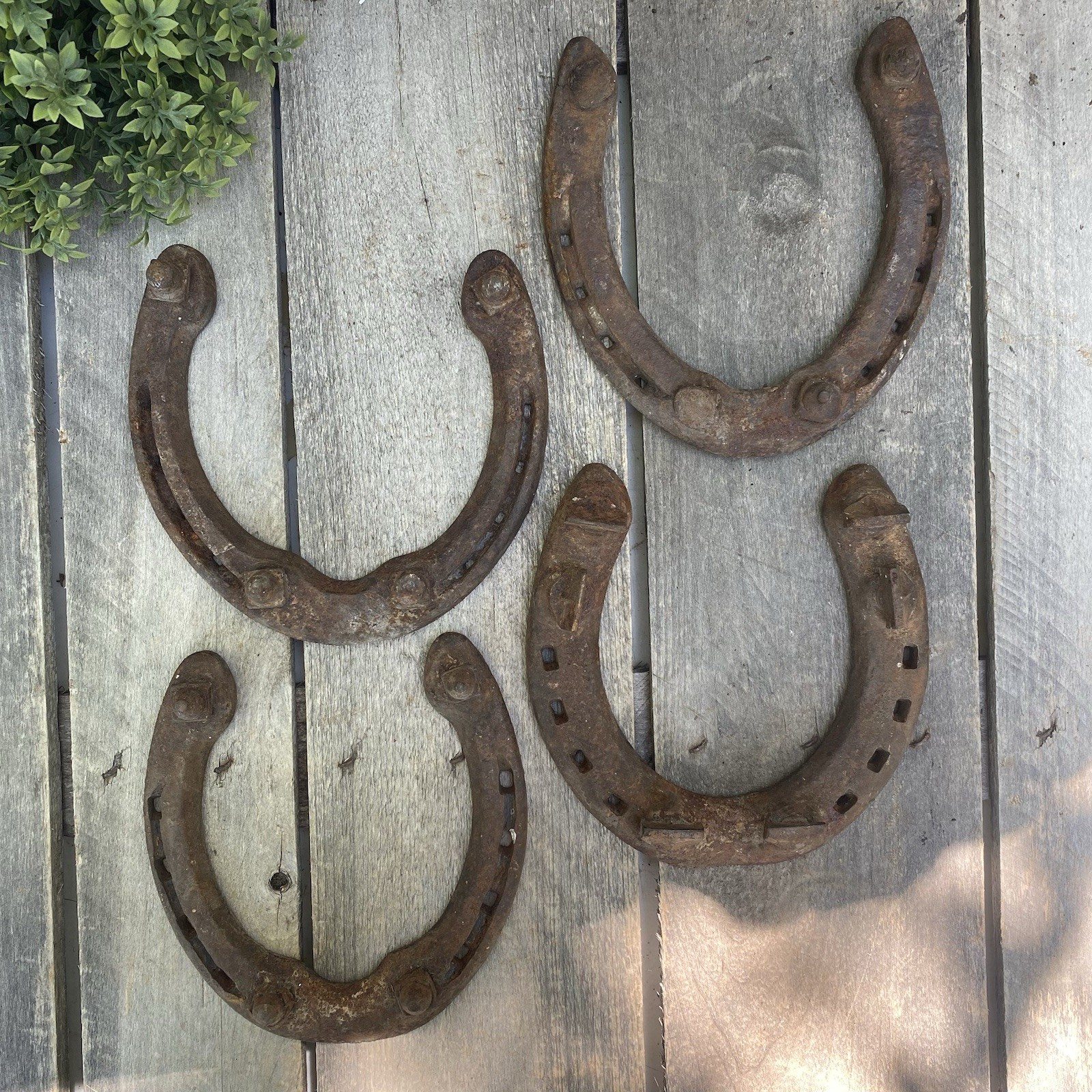 Antique Horse Shoe Tack Mule Rusty Rustic Western Decor Lodge Wall Cabin Art LOT