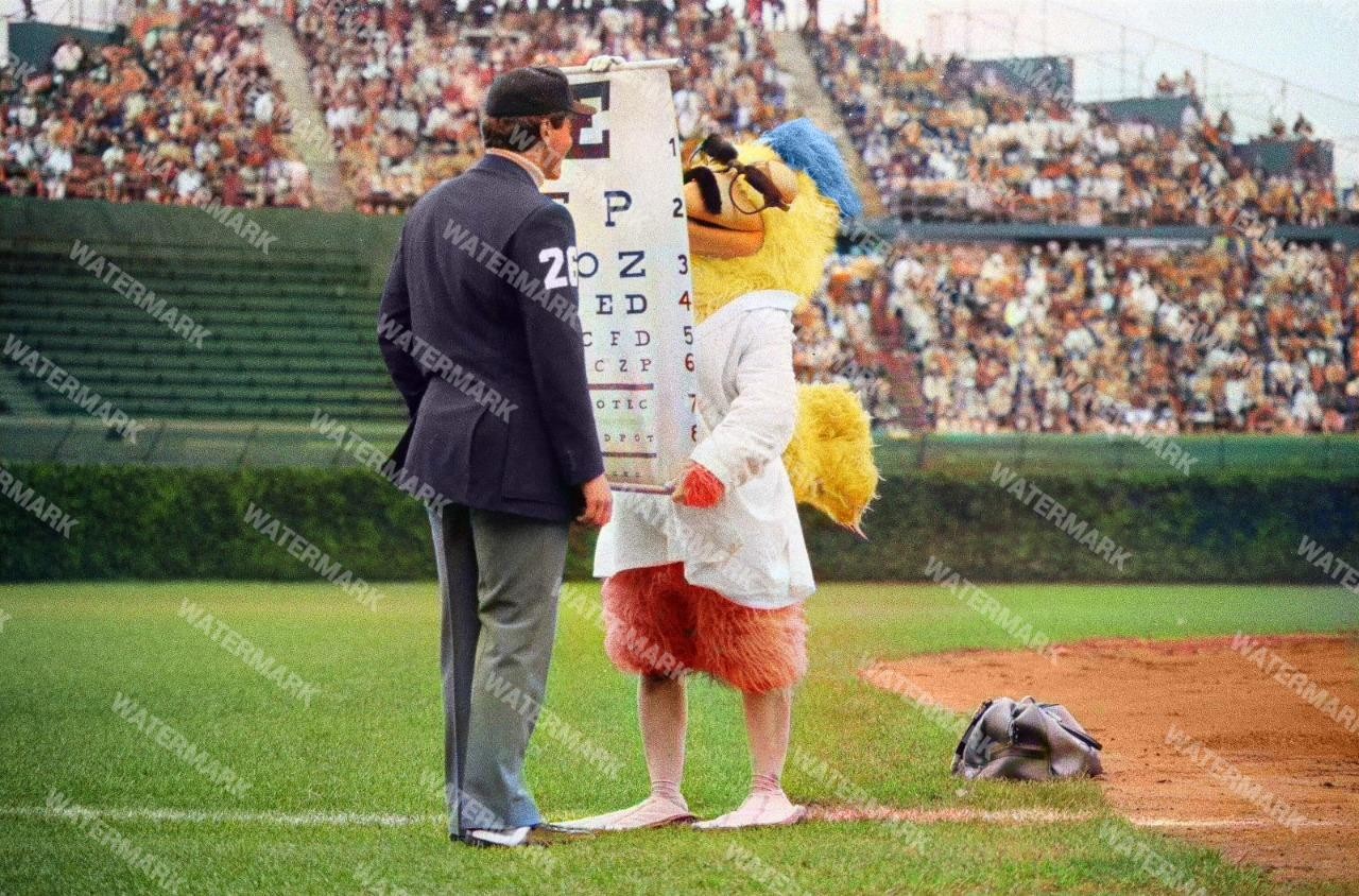 GW710 SanDeigo Chicken Tests Umpire 8x10 11x14 16x20 Colorized Photo