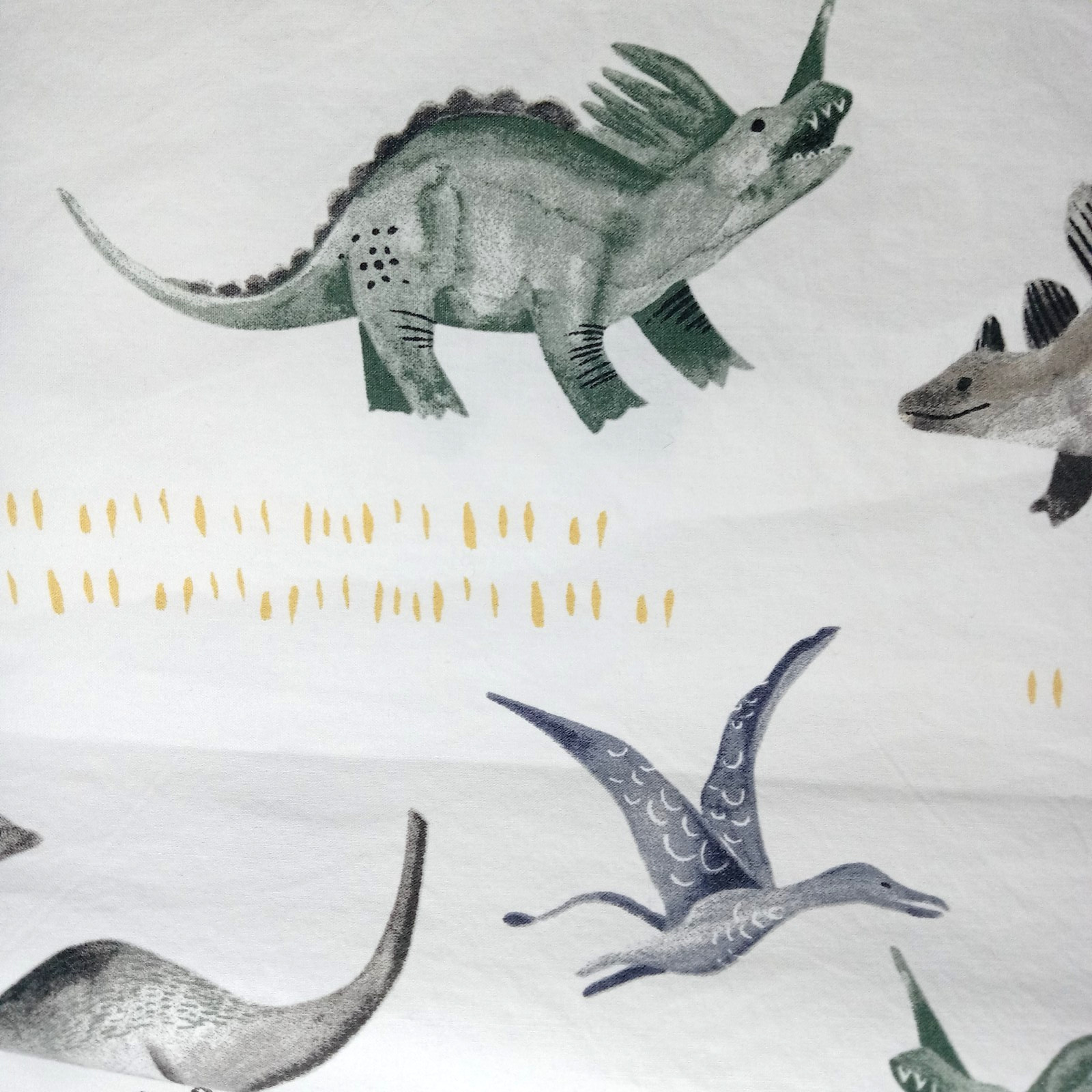 Pottery Barn Kids Organic Cotton Pillowcase Standard Size Boys Dinosaur Theme