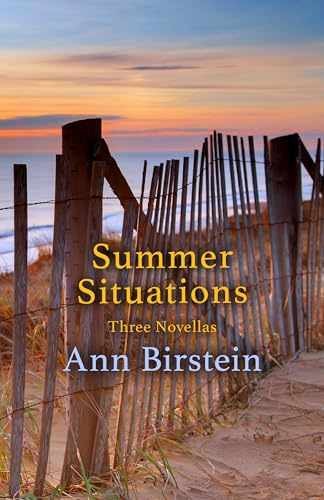 Summer Situations: Three Novellas - Paperback, by Birstein Ann - Very Good