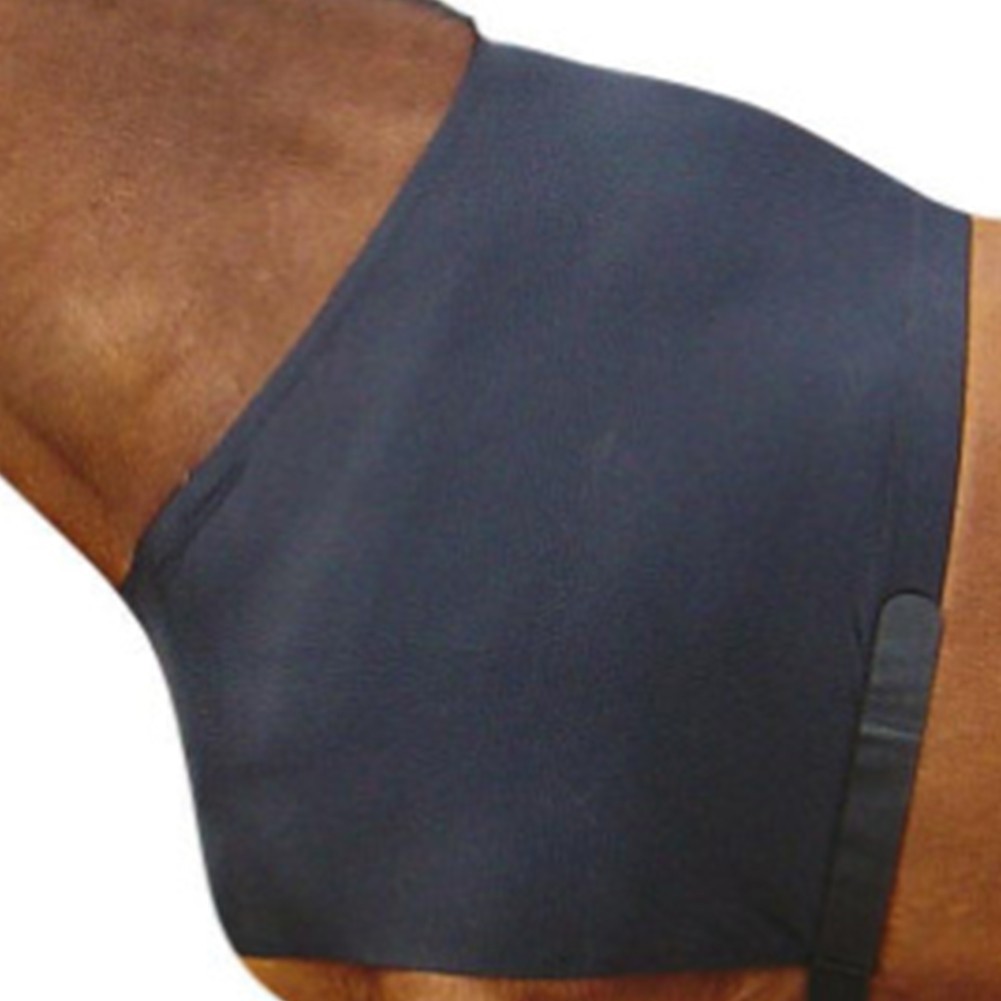For Horse Chest Protector Vest with Shoulder Coverage - Spandex Material
