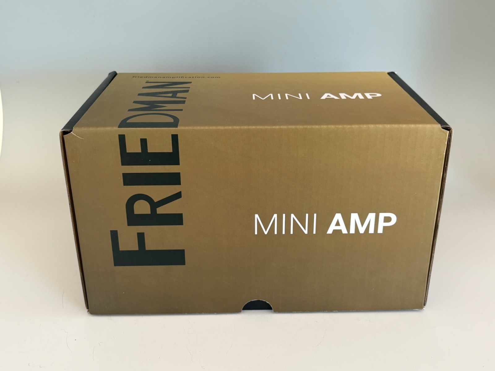 Friedman BE Mini Guitar Amp Head