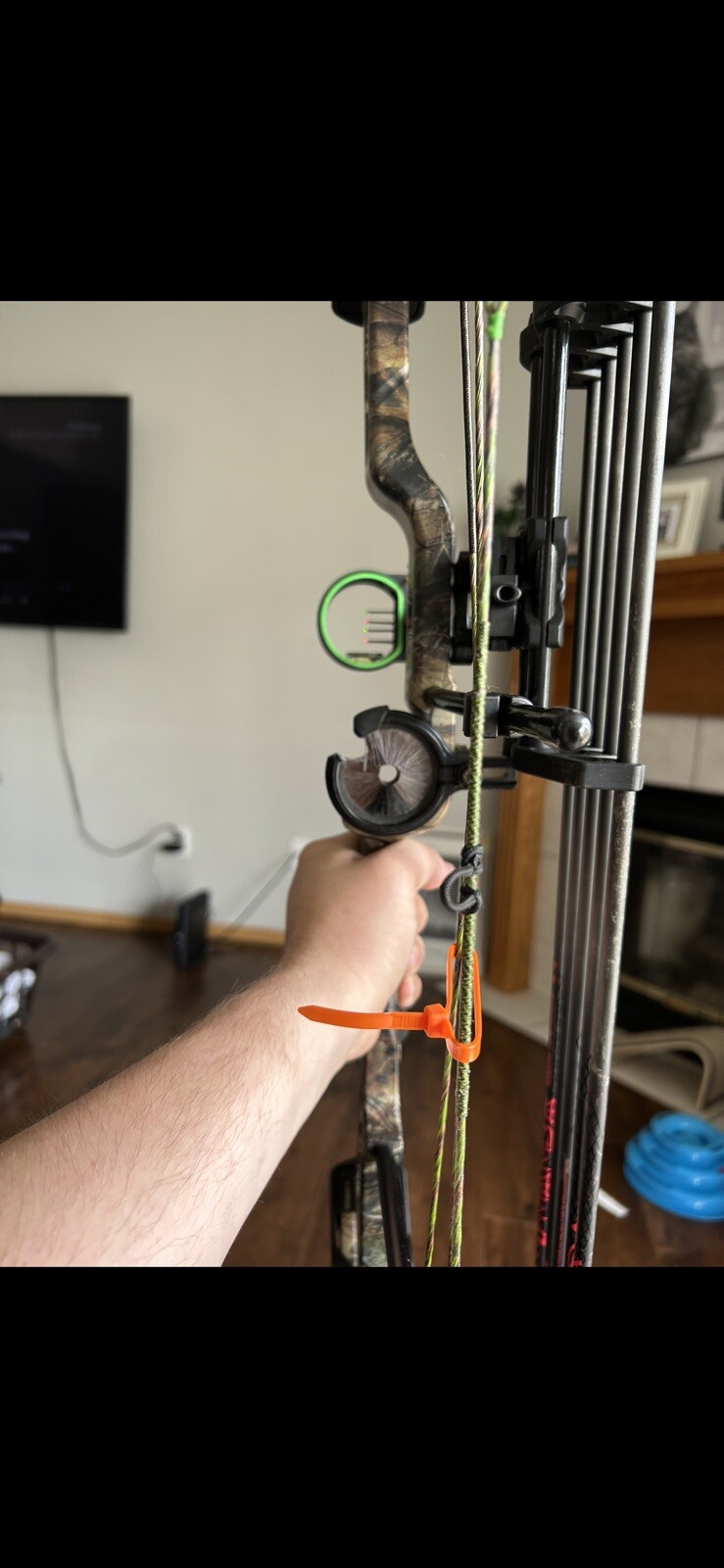 bear bow compound